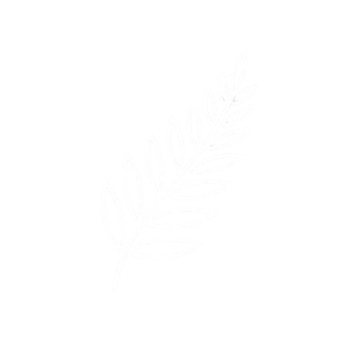 Silver fern icon